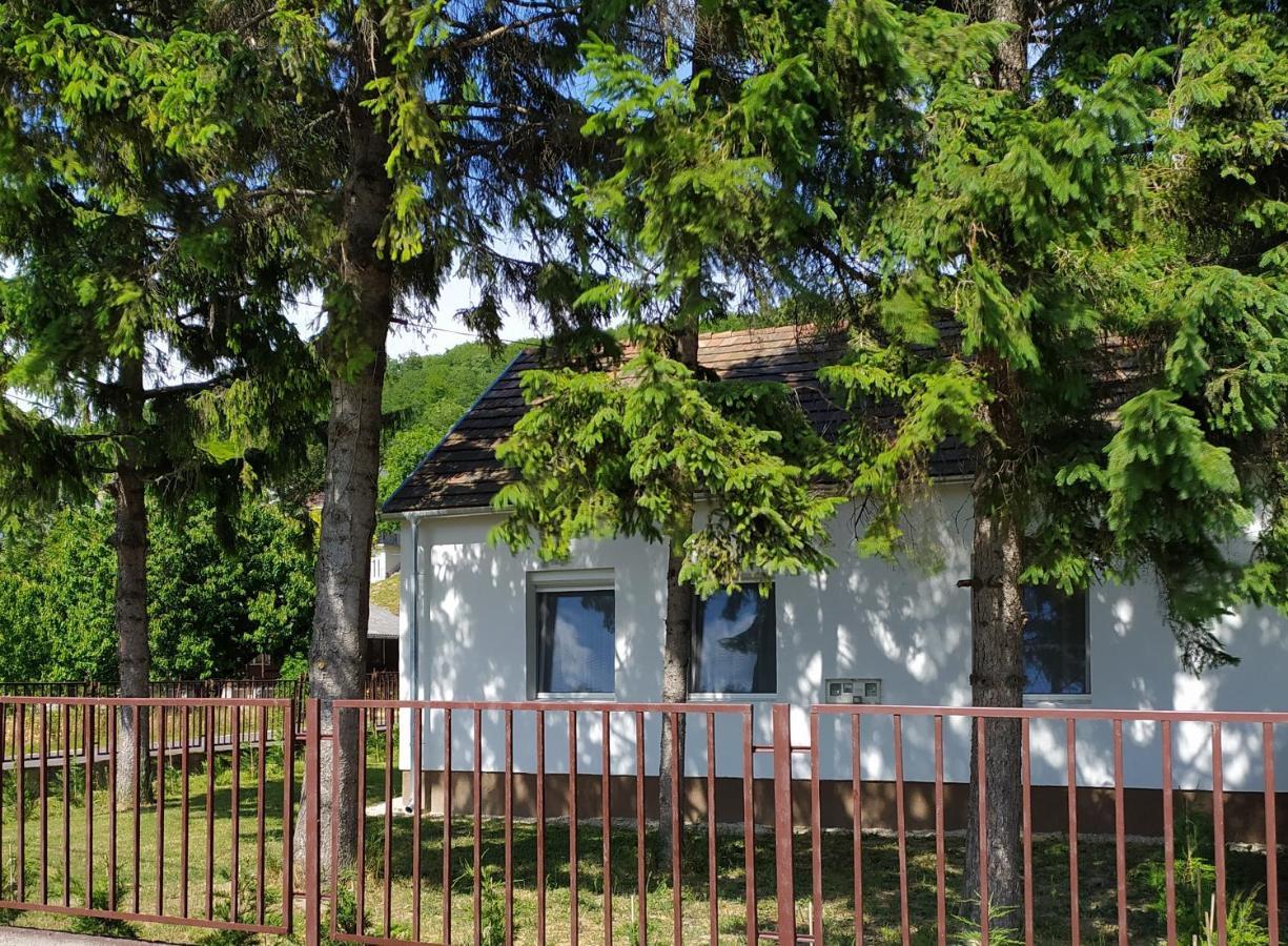 Elizabeth Vendeghaz Balatonfuzfon A Strandnal Exterior photo